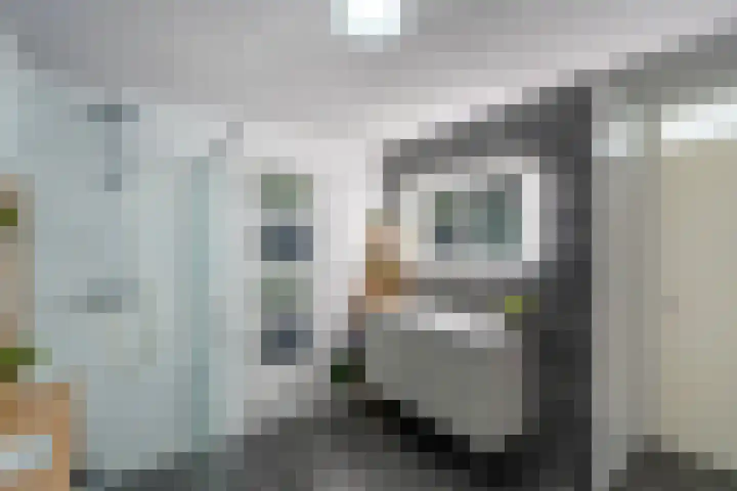 Gaarderstraat 4 Delfgauw thumbnail 6