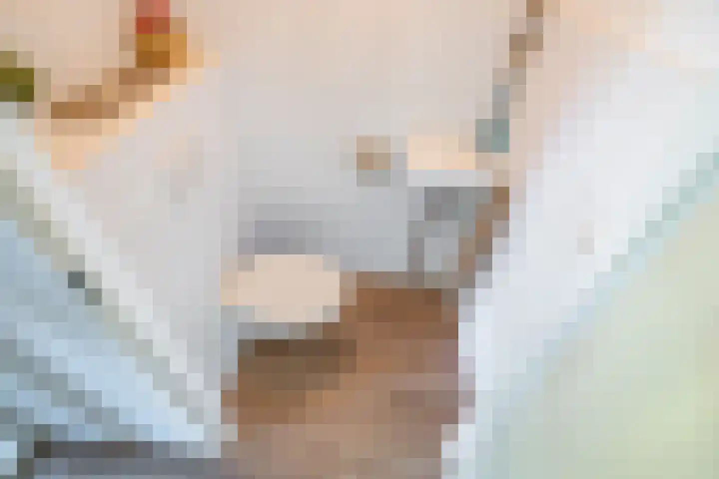 Gaarderstraat 4 Delfgauw thumbnail 7