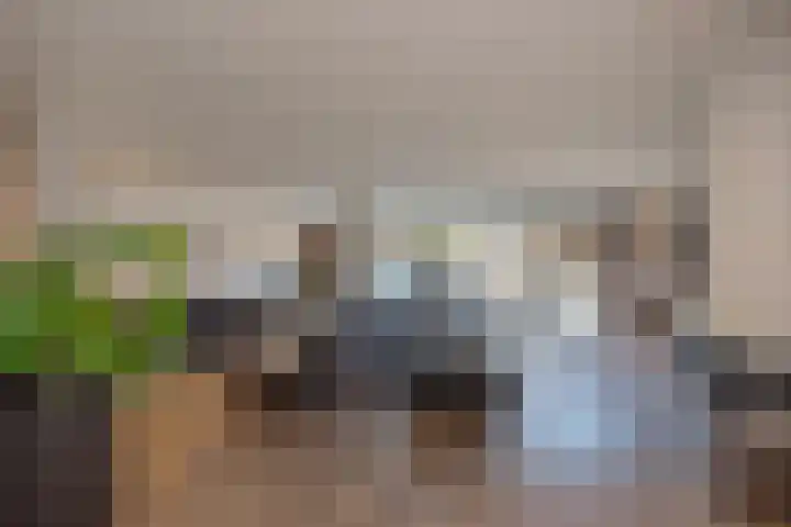 Gaarderstraat 8 Delfgauw thumbnail 10