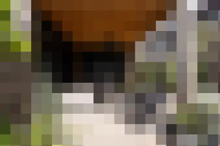 Gaarderstraat 8 Delfgauw thumbnail 20