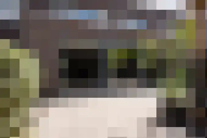 Gaarderstraat 8 Delfgauw thumbnail 21