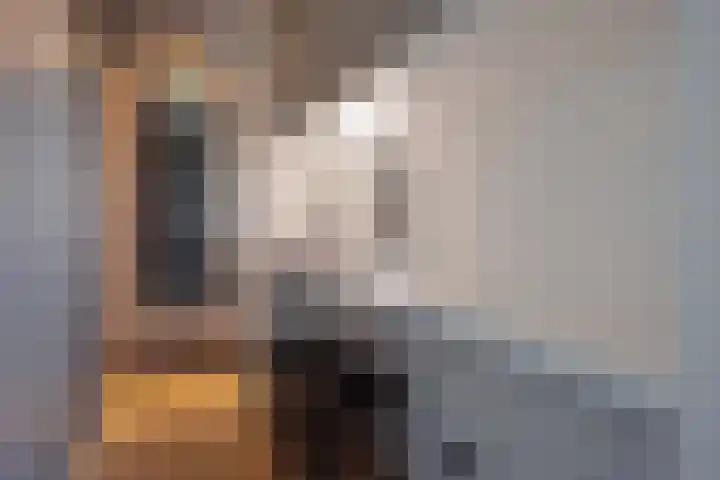 Gaarderstraat 8 Delfgauw thumbnail 28