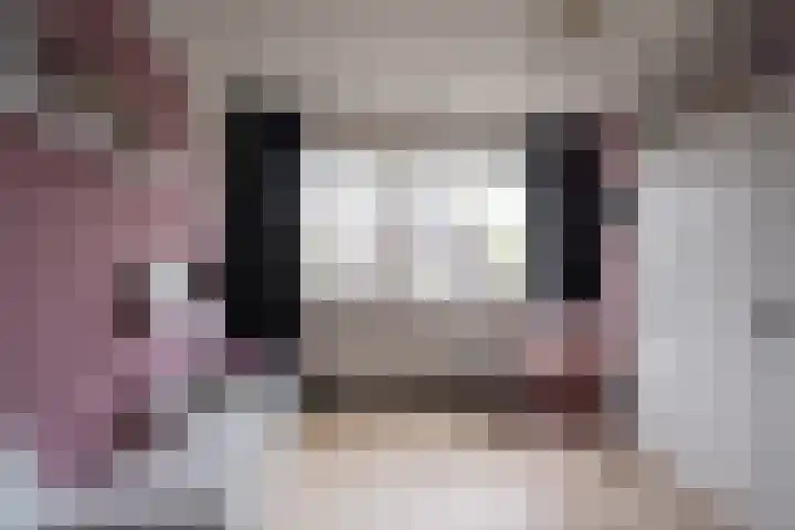Gaarderstraat 8 Delfgauw thumbnail 31