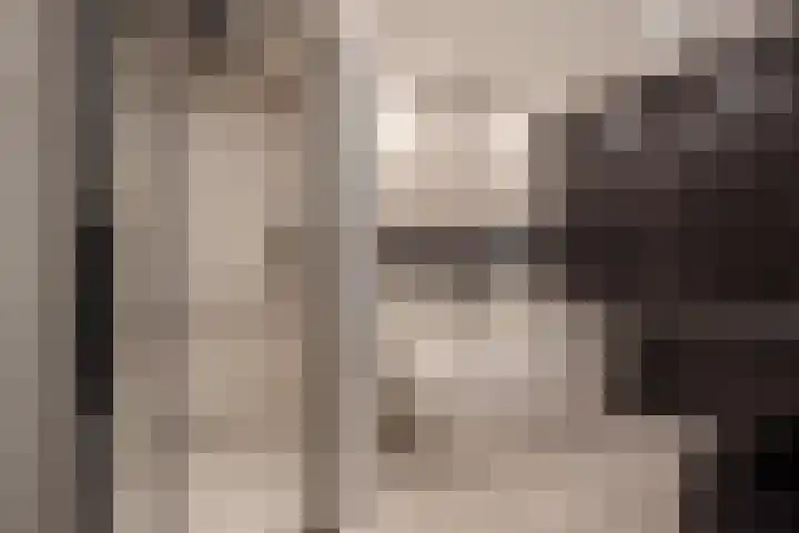 Gaarderstraat 8 Delfgauw thumbnail 36