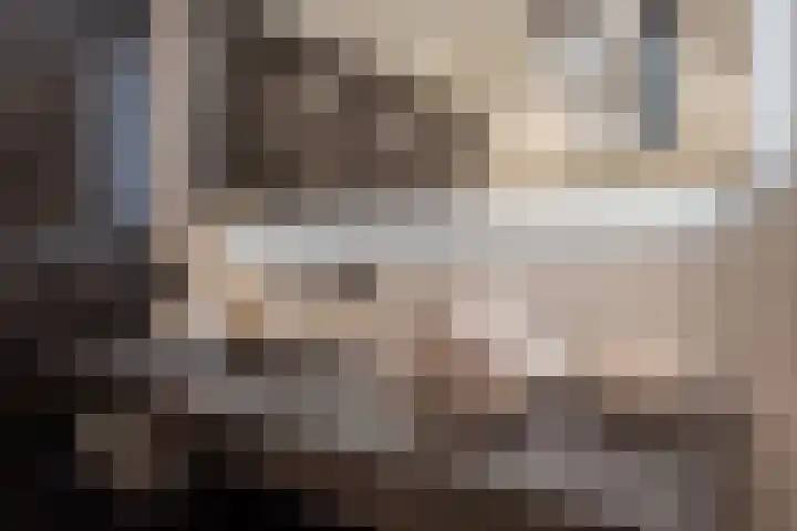Gaarderstraat 8 Delfgauw thumbnail 38