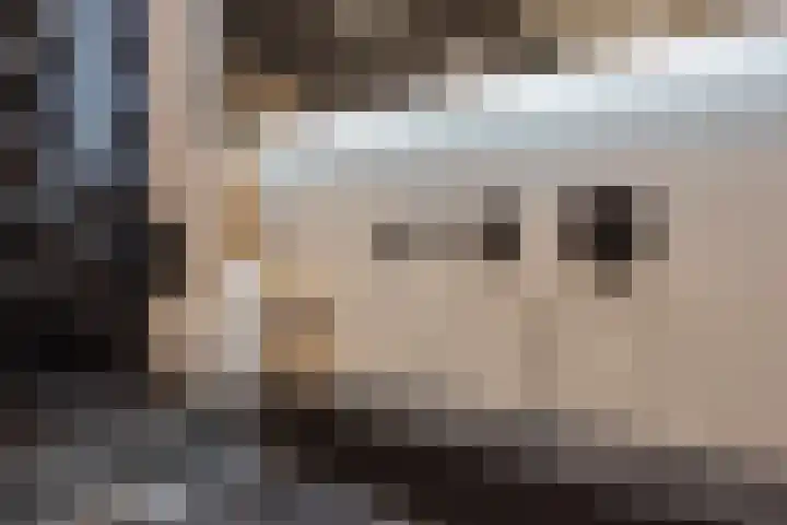 Gaarderstraat 8 Delfgauw thumbnail 39