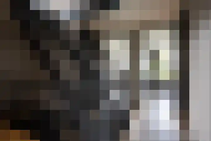 Gaarderstraat 8 Delfgauw thumbnail 41