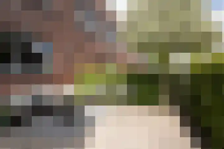 Gaarderstraat 8 Delfgauw thumbnail 6
