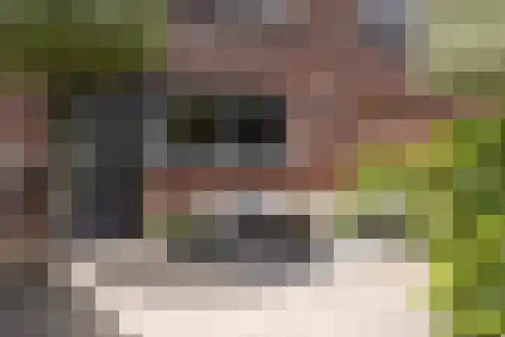 Gaarderstraat 8 Delfgauw thumbnail 7