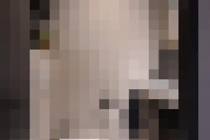 Gaarderstraat 8 Delfgauw thumbnail 9