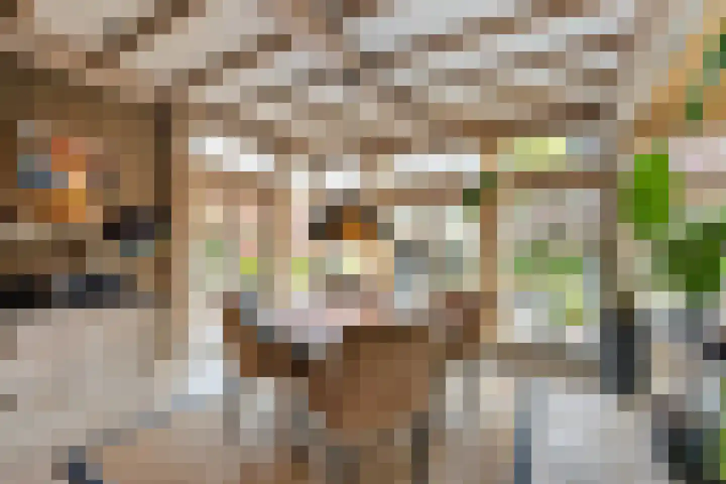 Gaardsebaan 11 B Zundert thumbnail 11