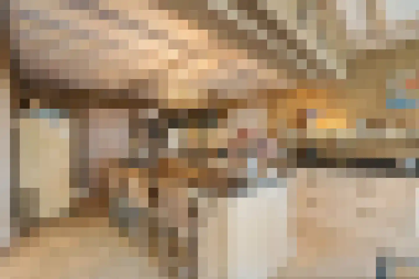 Gaardsebaan 11 B Zundert thumbnail 14