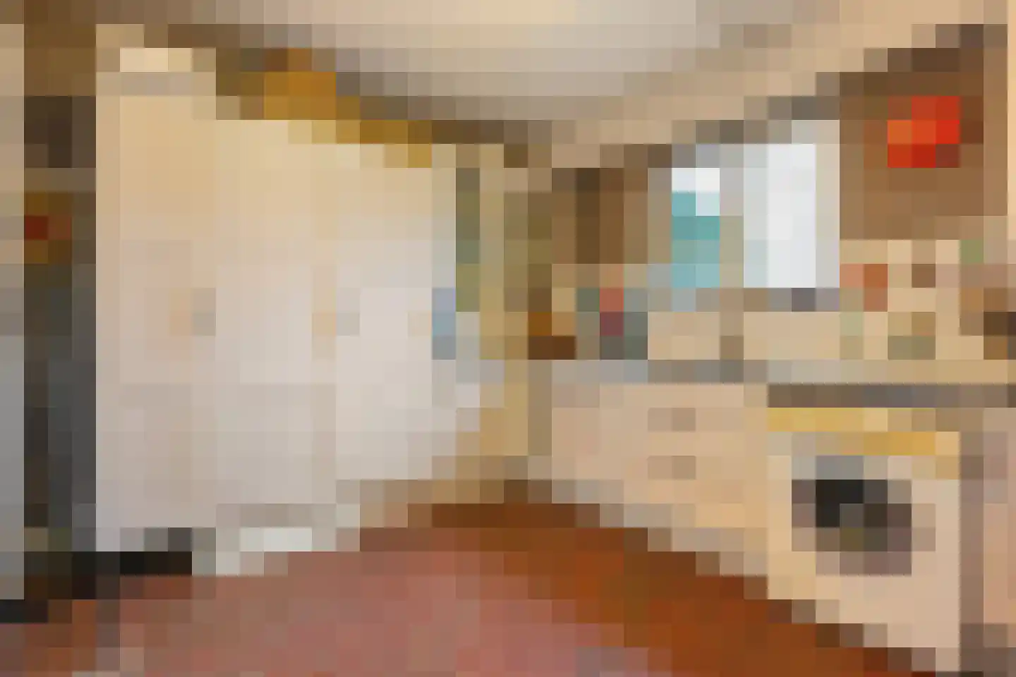 Gaardsebaan 11 B Zundert thumbnail 19