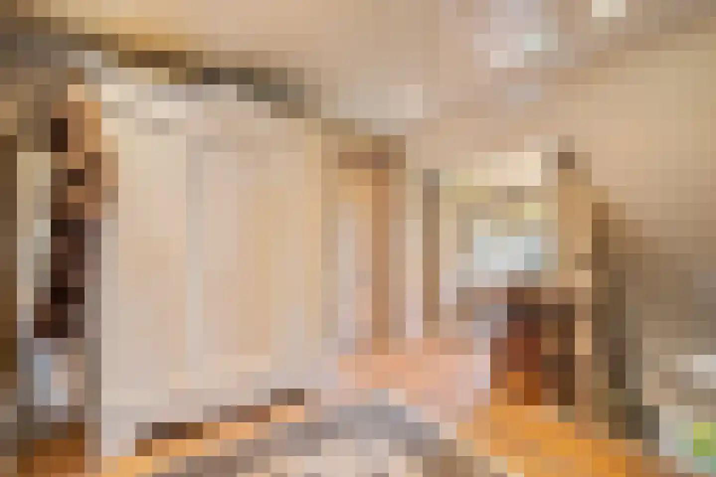 Gaardsebaan 11 B Zundert thumbnail 20