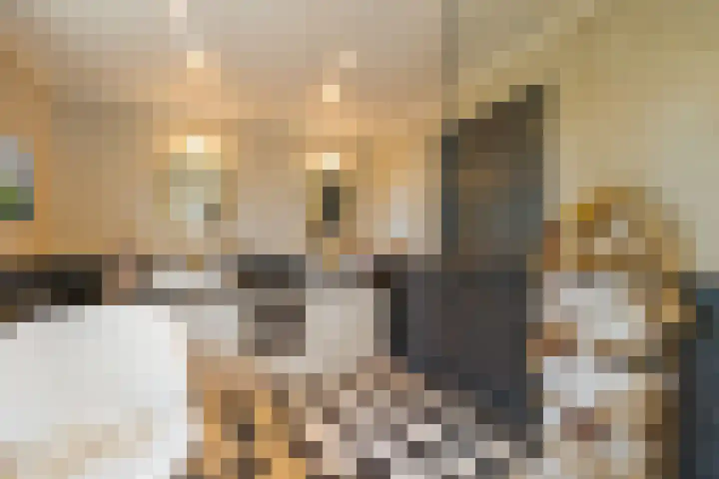 Gaardsebaan 11 B Zundert thumbnail 25