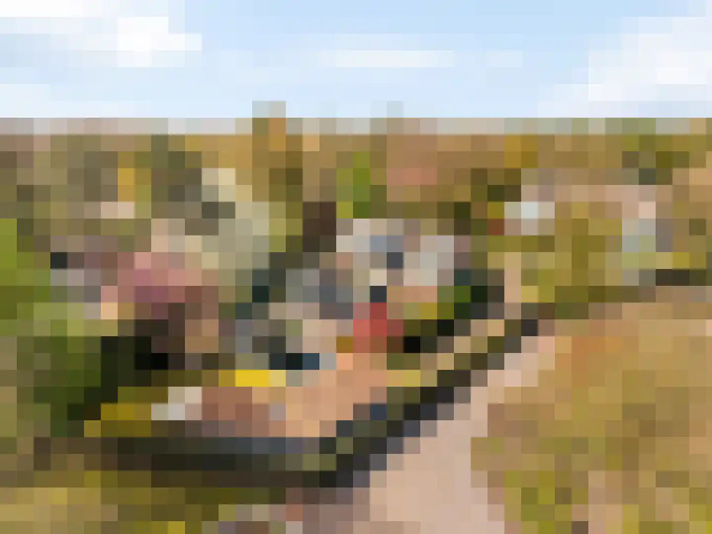 Gaardsebaan 11 B Zundert thumbnail 31