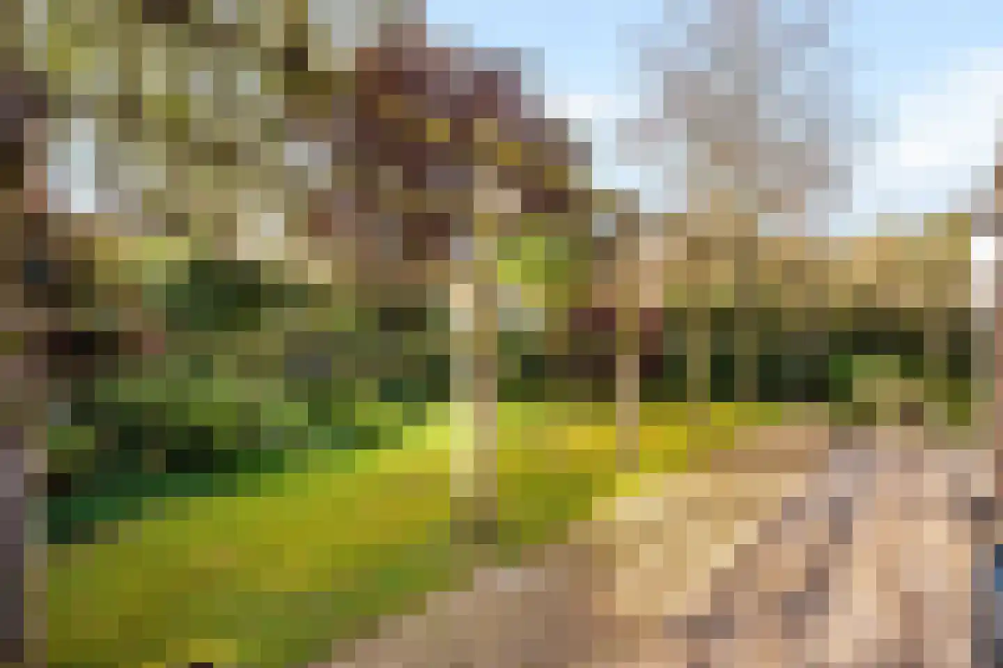 Gaardsebaan 11 B Zundert thumbnail 32
