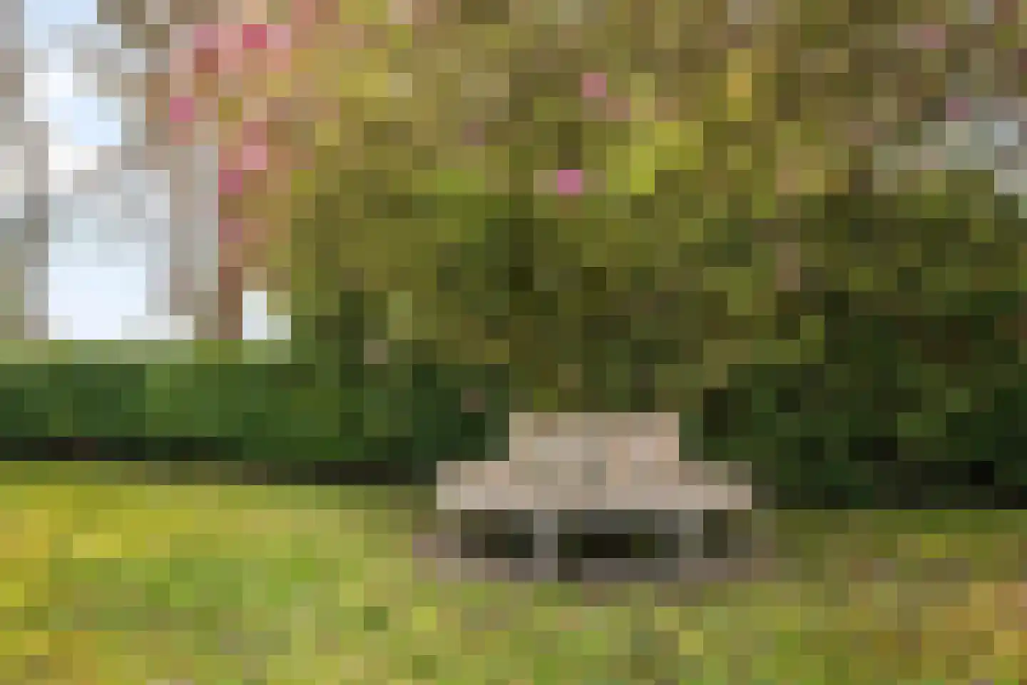 Gaardsebaan 11 B Zundert thumbnail 35