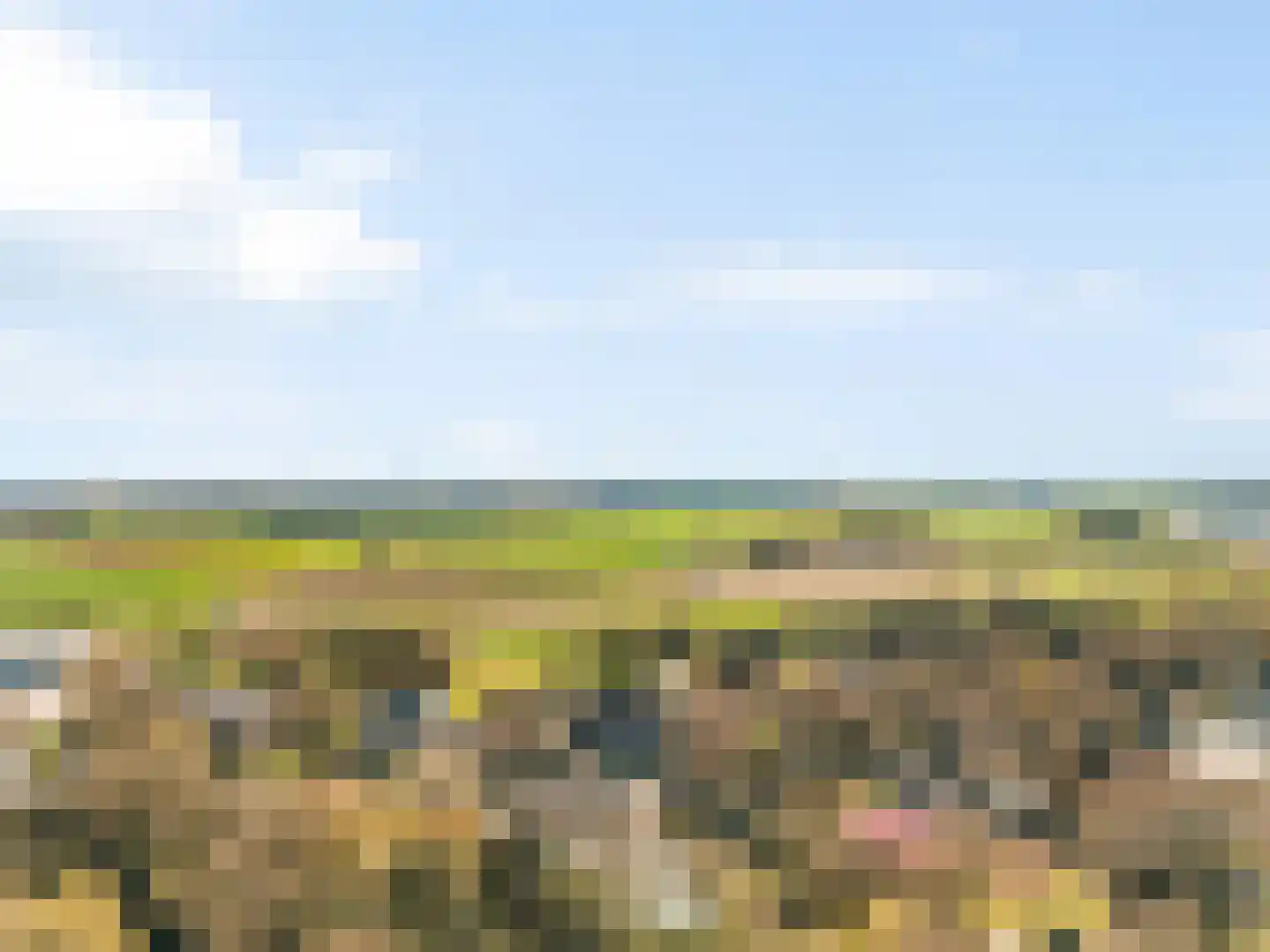 Gaardsebaan 11 B Zundert thumbnail 37