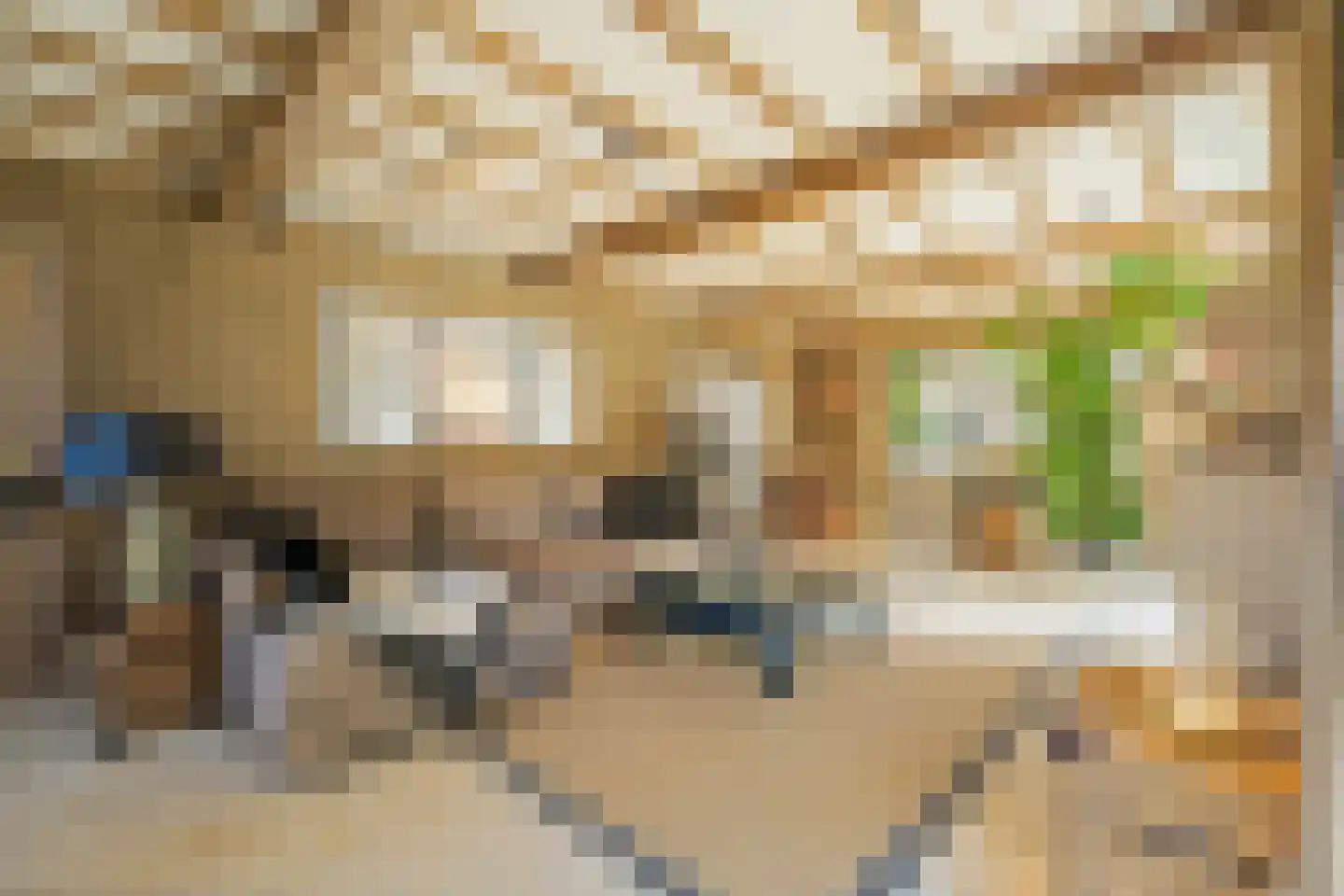 Gaardsebaan 11 B Zundert thumbnail 8
