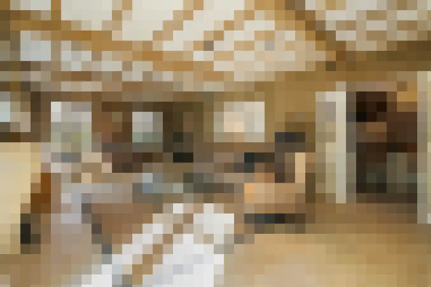 Gaardsebaan 11 B Zundert thumbnail 9