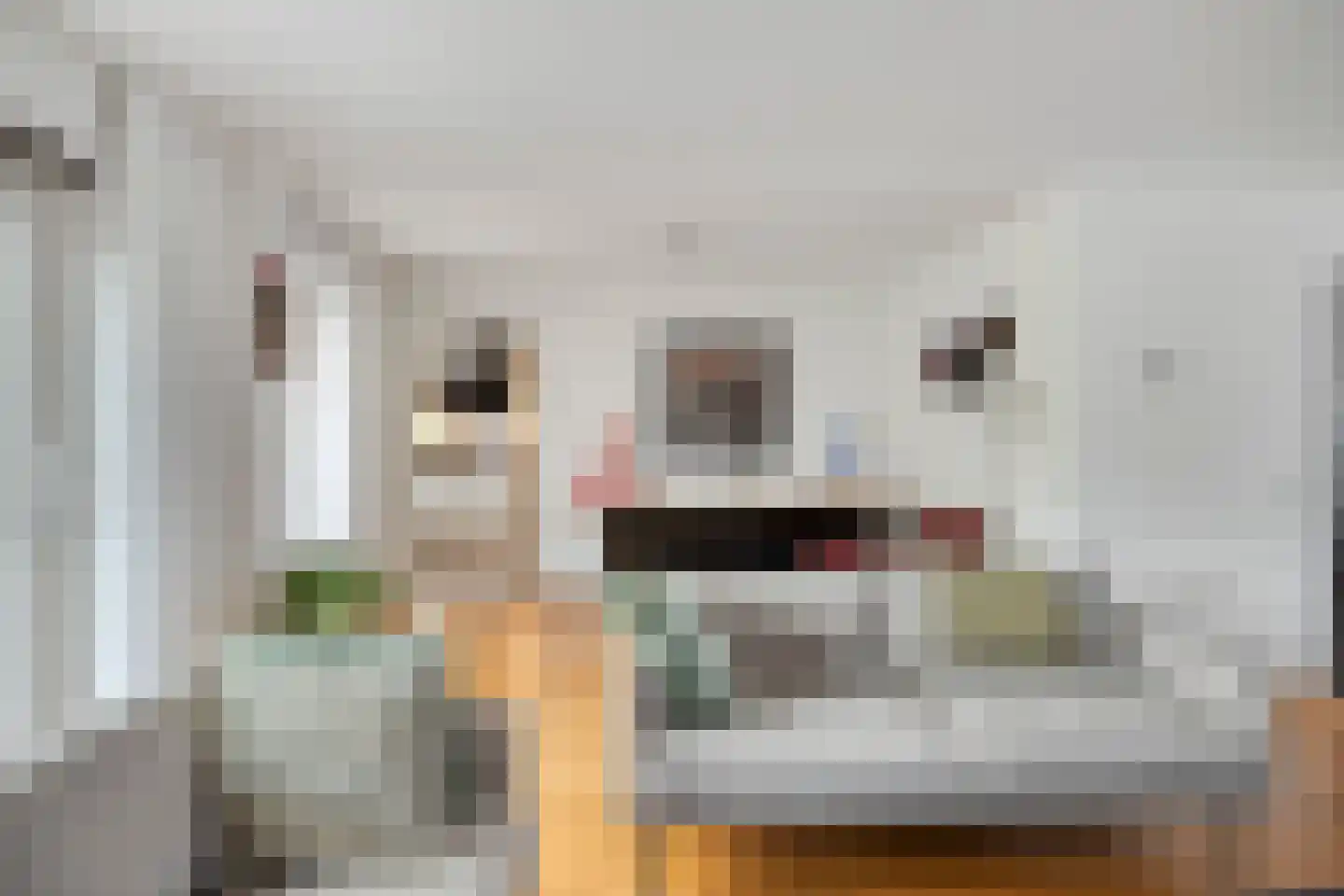 Gaarstraat 62 Born thumbnail 13