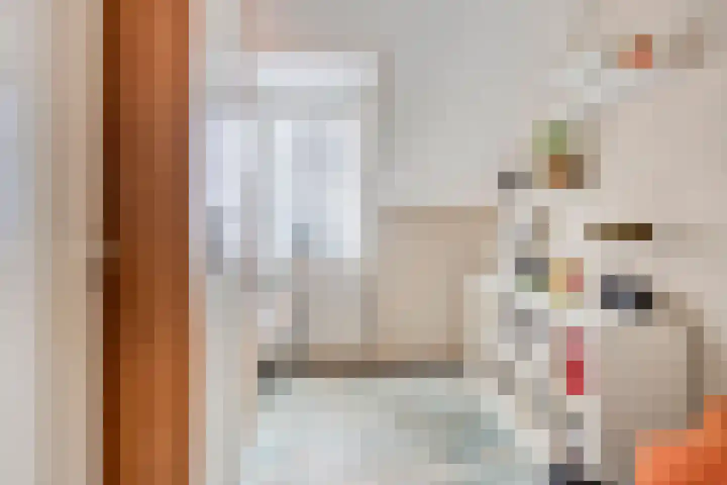 Gaarstraat 62 Born thumbnail 27