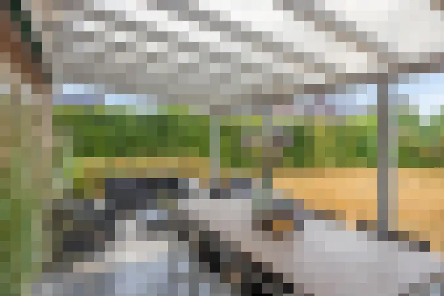 Gaarstraat 62 Born thumbnail 33