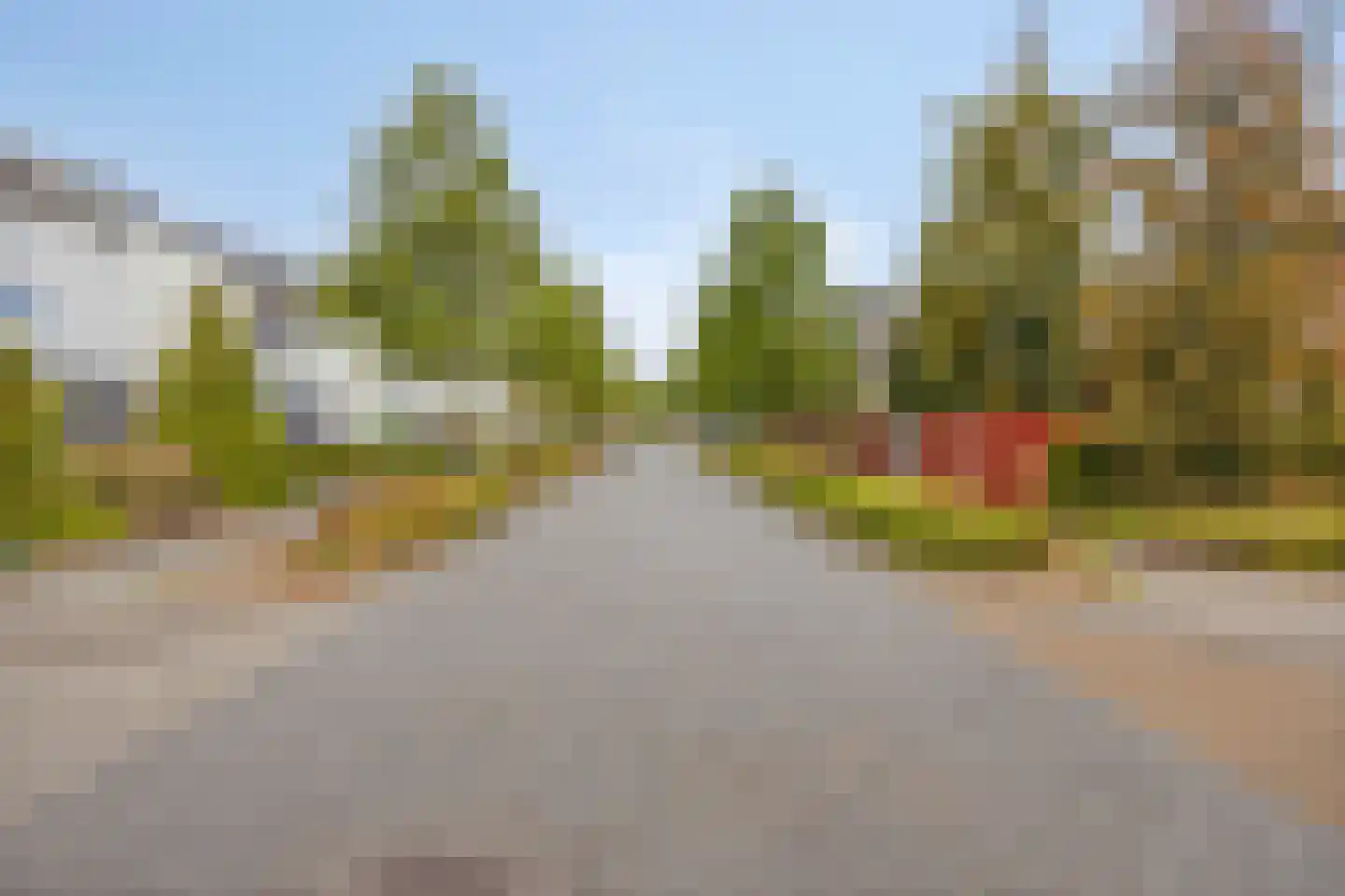 Gaarstraat 62 Born thumbnail 37