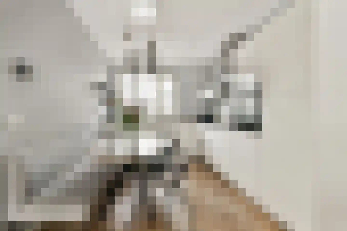 Gaasbaklaan 15 Sassenheim thumbnail 7