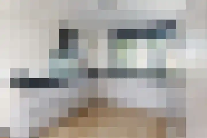 Gaasbeek 19 Zevenbergen thumbnail 21