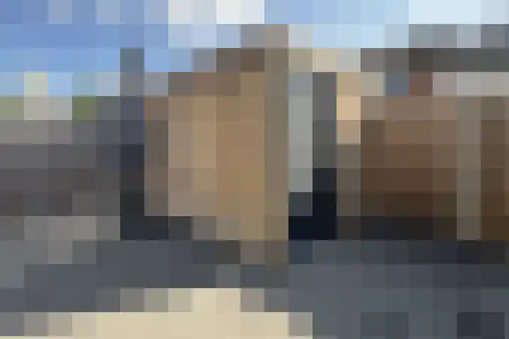 Gaasbeek 19 Zevenbergen thumbnail 44