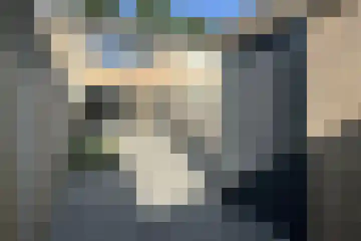 Gaasbeek 19 Zevenbergen thumbnail 45