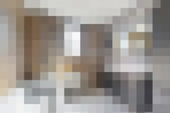 Gaasbeek 19 Zevenbergen thumbnail 5