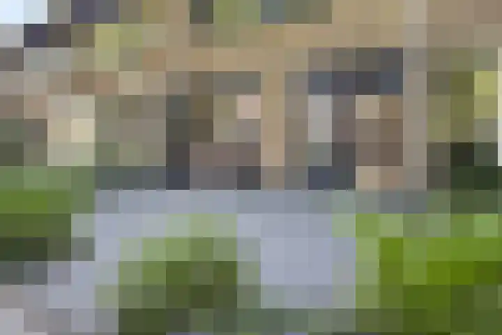 Gaasbeek 19 Zevenbergen thumbnail 50