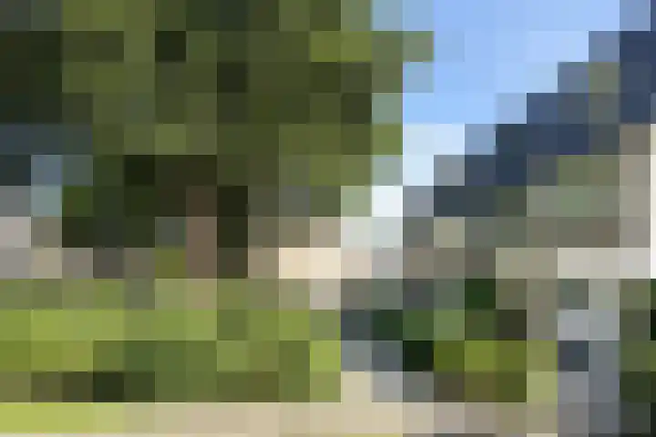 Gaasbeek 19 Zevenbergen thumbnail 51
