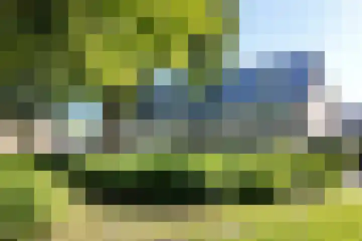 Gaasbeek 19 Zevenbergen thumbnail 52