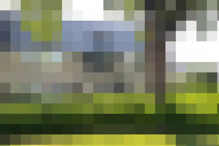 Gaasbeek 19 Zevenbergen thumbnail 53