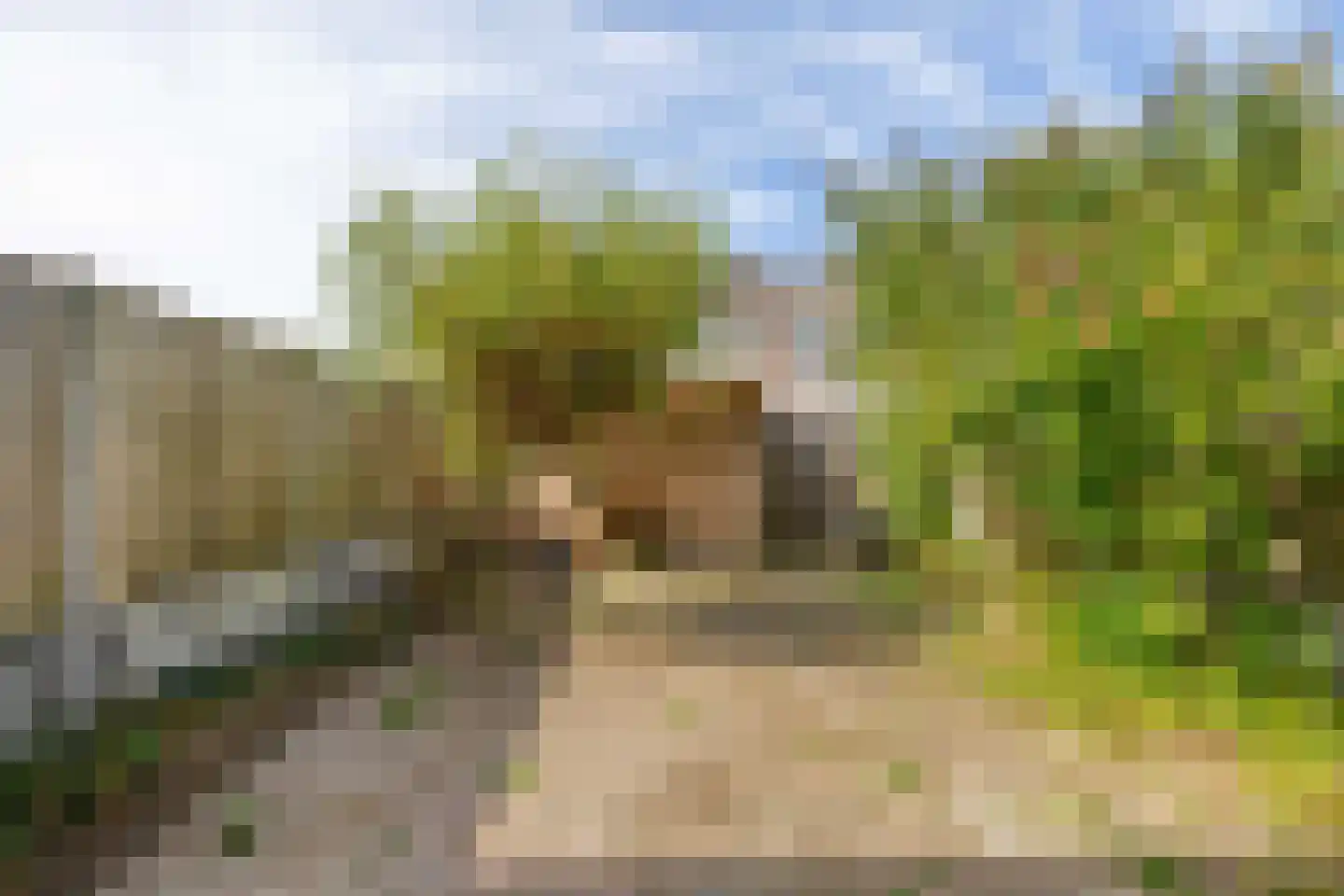 Gaasbeek 24 Zevenbergen thumbnail 22