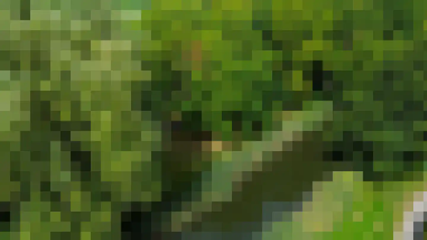 Gaasbeek 24 Zevenbergen thumbnail 33