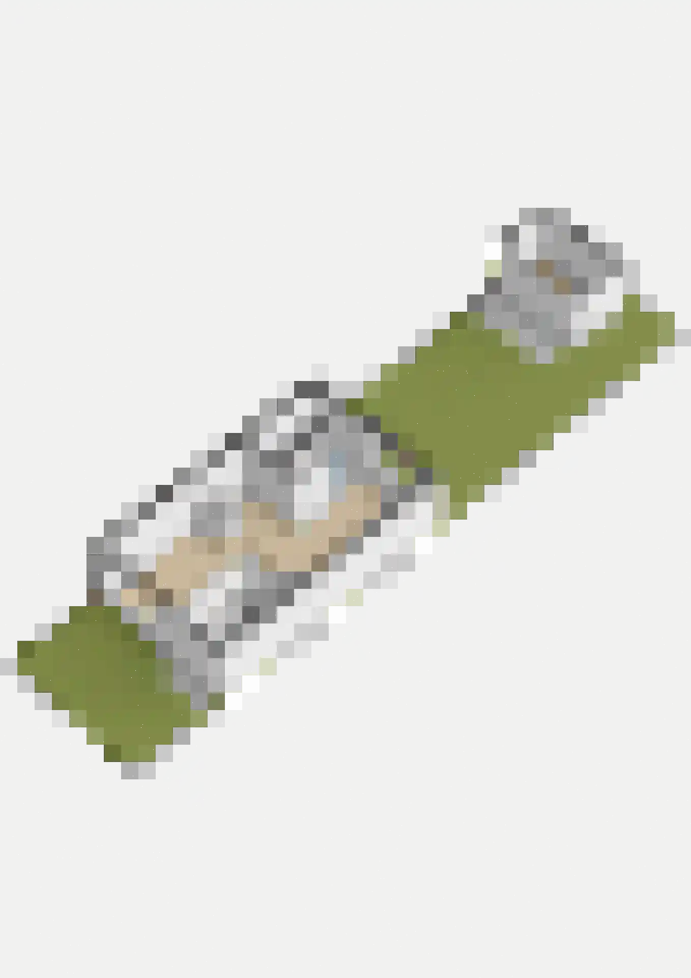 Gaasbeek 24 Zevenbergen thumbnail 45