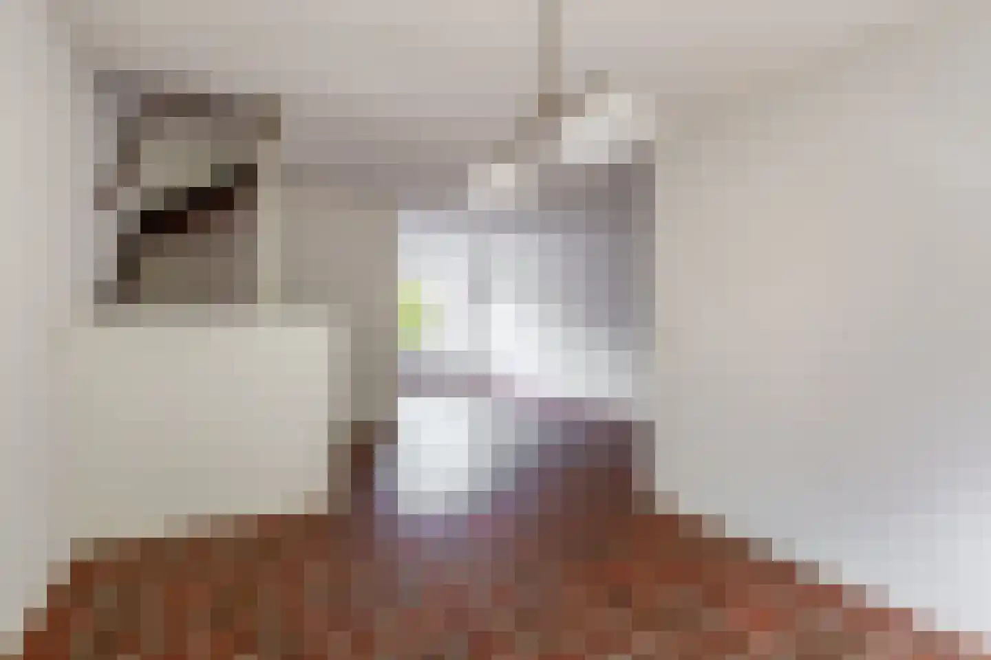 Gaasbeek 24 Zevenbergen thumbnail 9