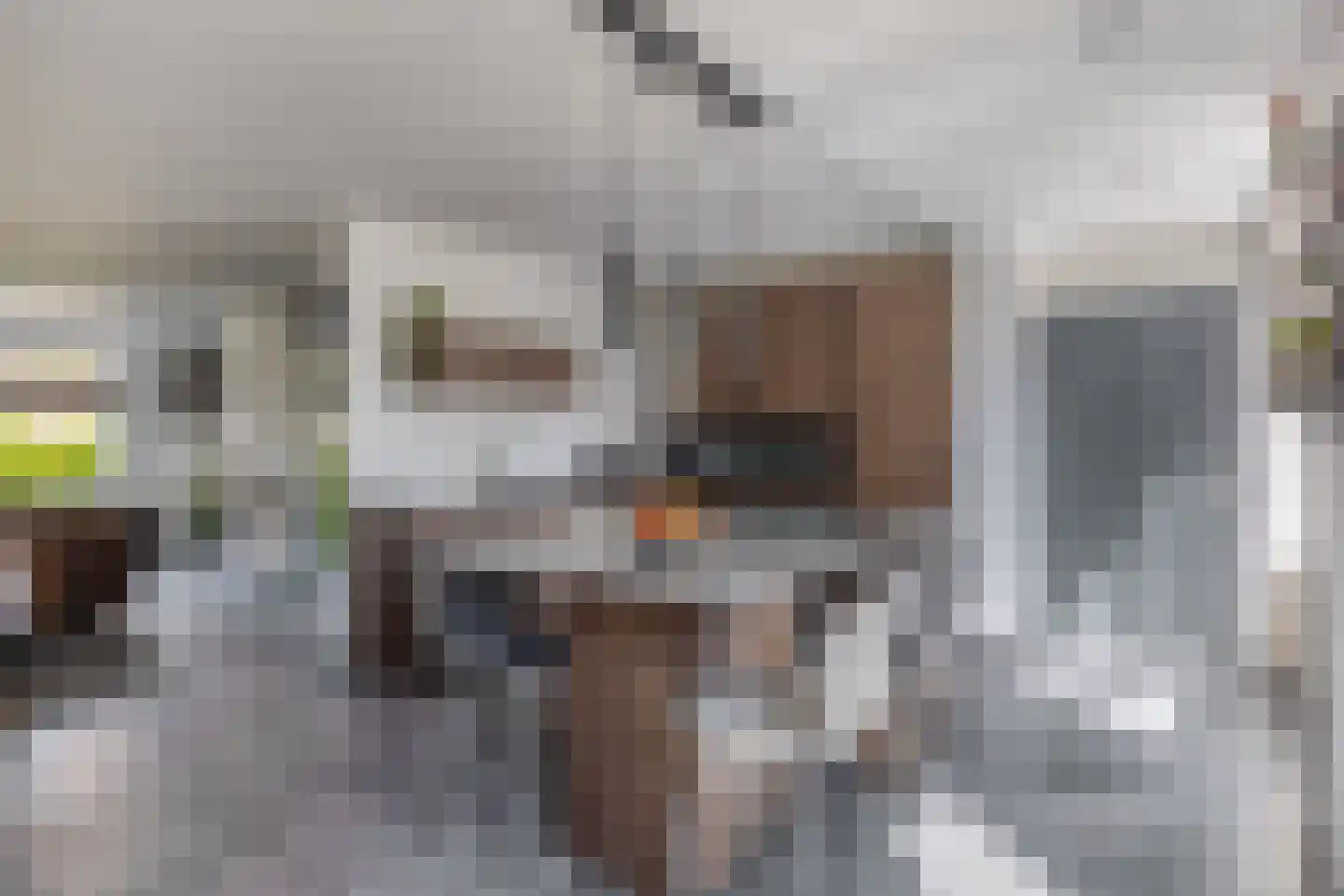 Gaasbeek 43 Zevenbergen thumbnail 21
