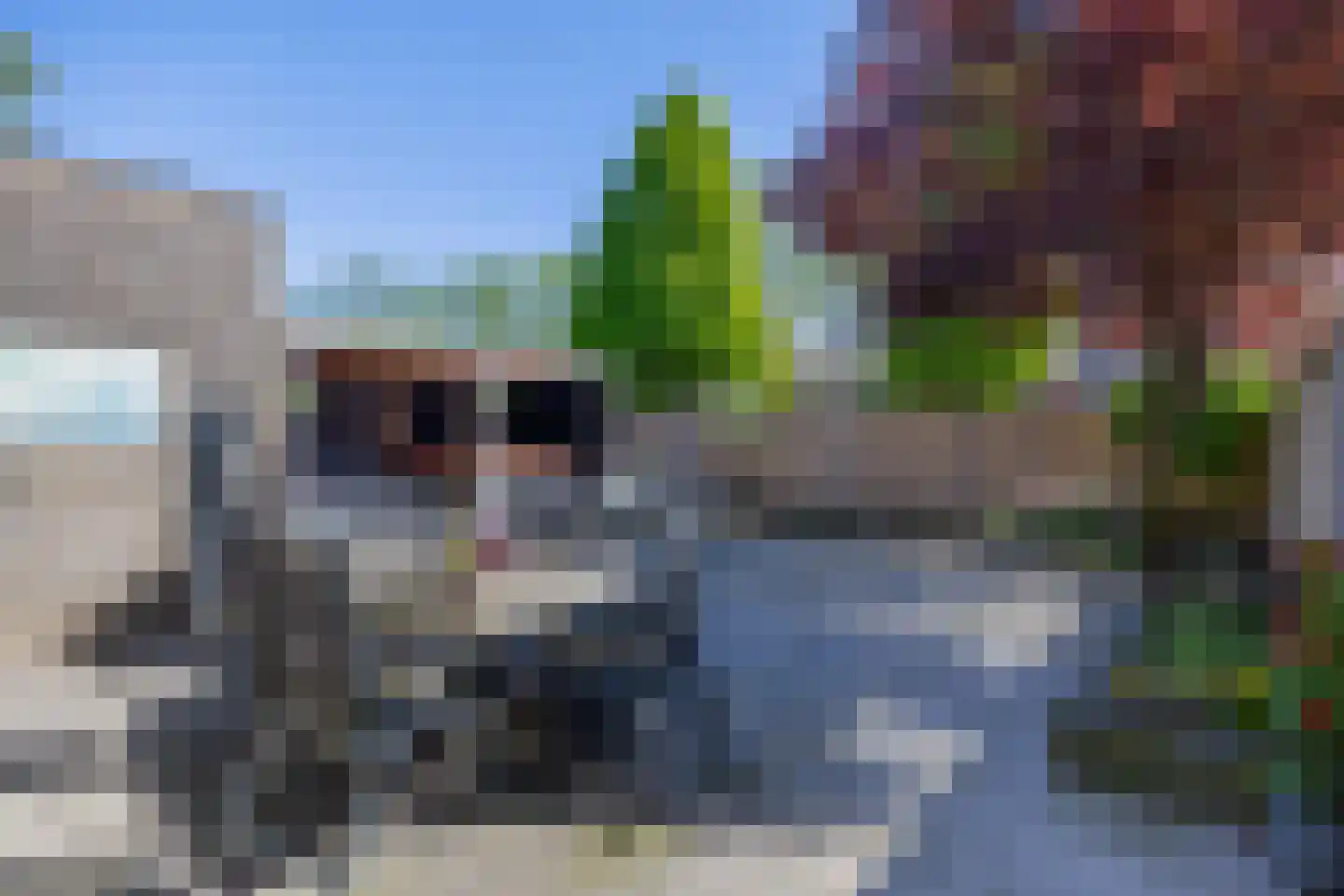 Gaasbeek 43 Zevenbergen thumbnail 46