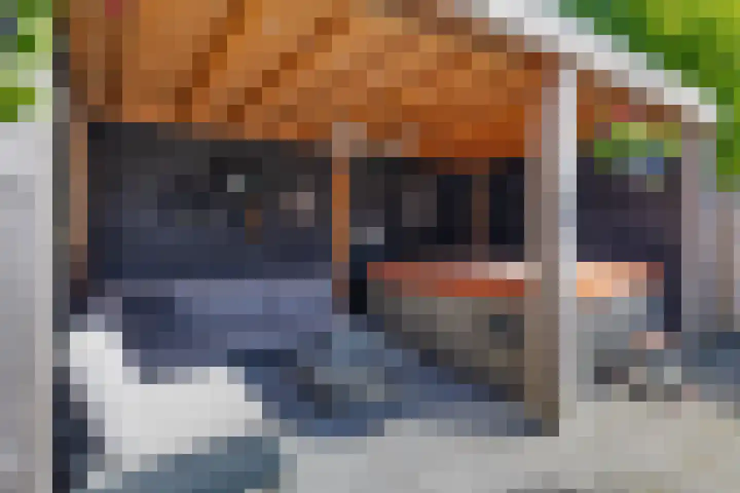Gaasbeek 43 Zevenbergen thumbnail 47
