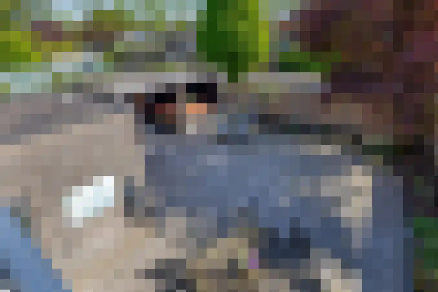 Gaasbeek 43 Zevenbergen thumbnail 48