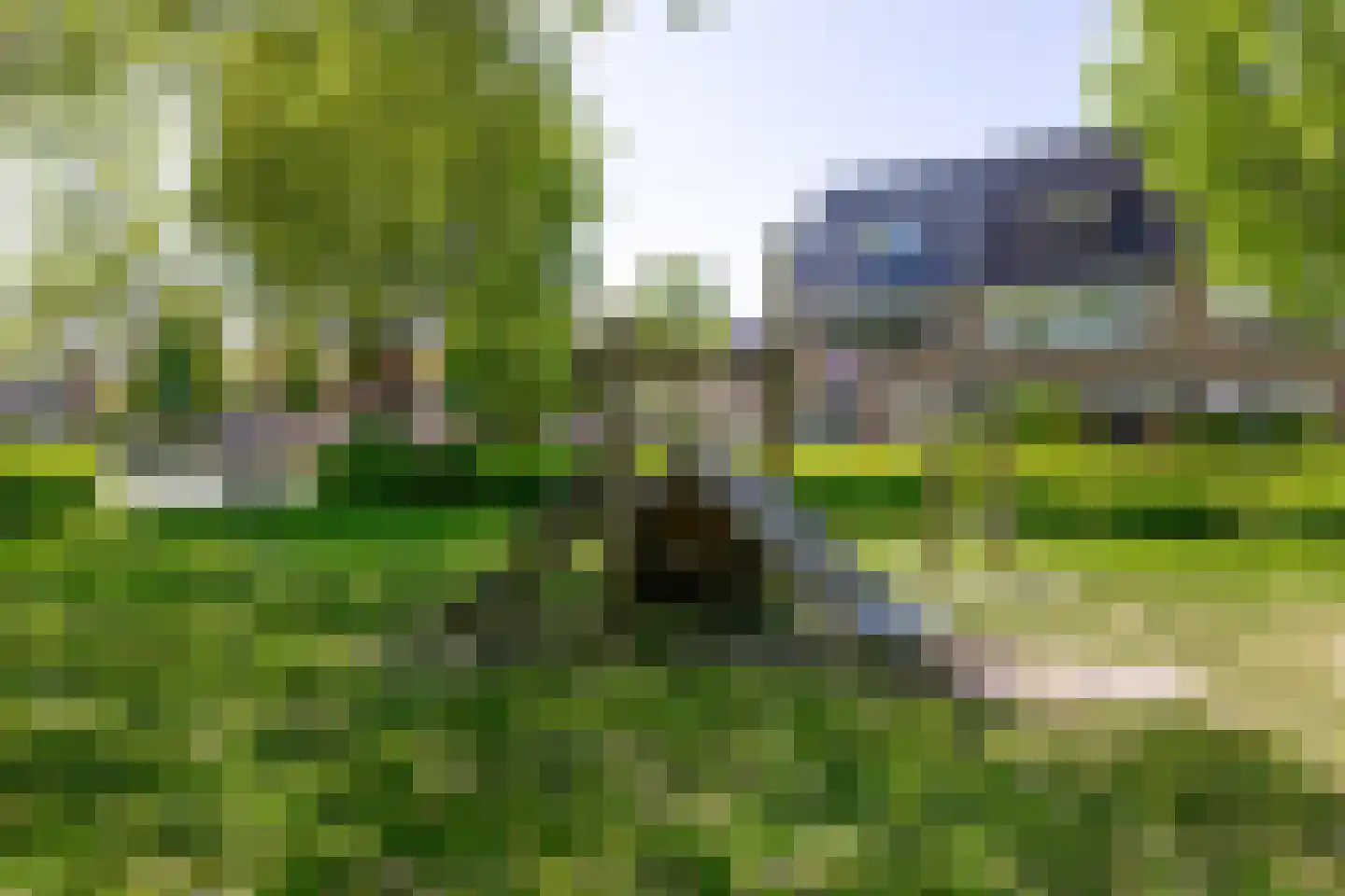 Gaasbeek 43 Zevenbergen thumbnail 50