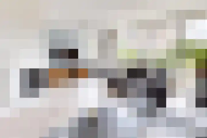 Gaasbeek 57 Zevenbergen thumbnail 12