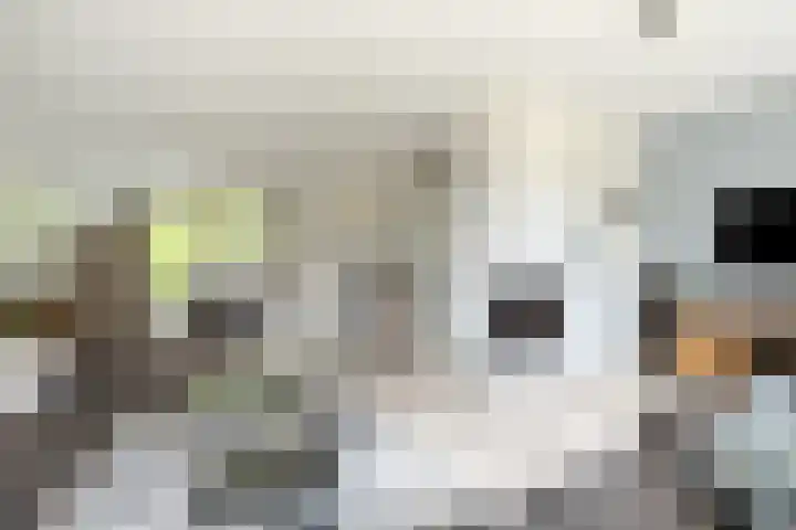 Gaasbeek 57 Zevenbergen thumbnail 13
