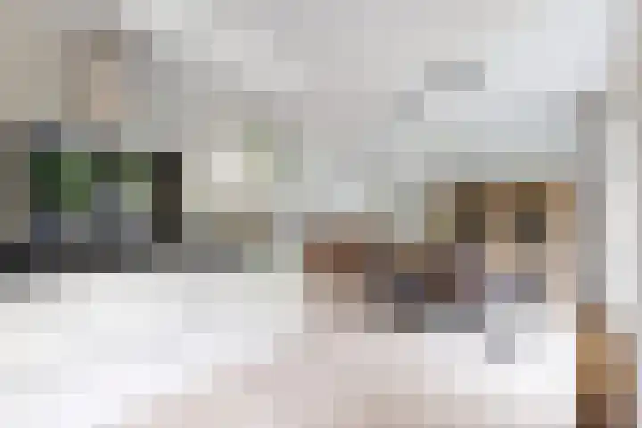 Gaasbeek 57 Zevenbergen thumbnail 29